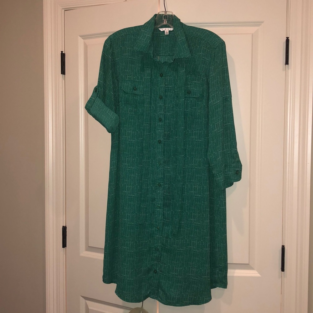 CAbi Kelly Green Shirtdress